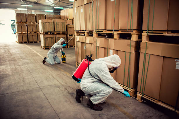 Best Best Pest Control Companies  in Harlan, KY