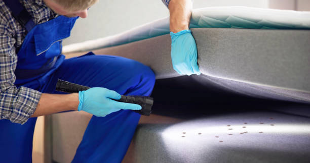 Best Pest Inspection Near Me  in Harlan, KY