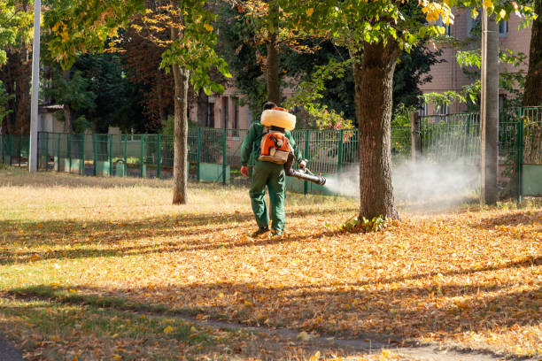 Best Pest Control Near Me in Harlan, KY