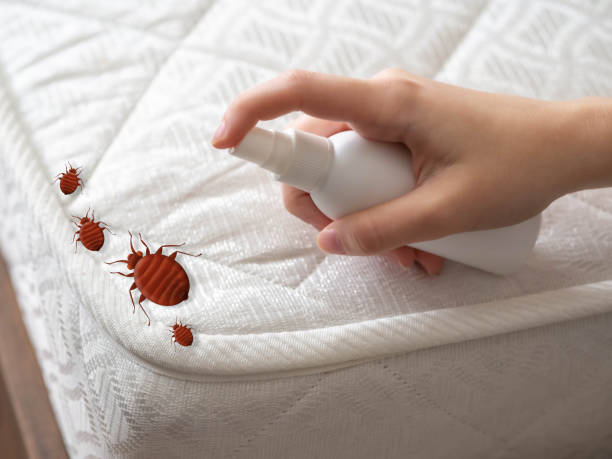 Best Ant Control Services  in Harlan, KY
